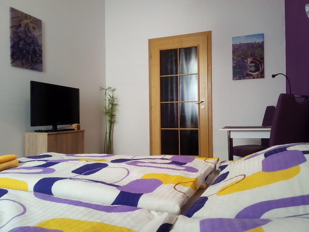 Penzion V Centru - Apartmány Smetanka Ceske Budejovice Habitación foto